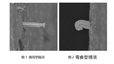 浅谈一下焊锡膏焊接后出现锡须是什么原因？
