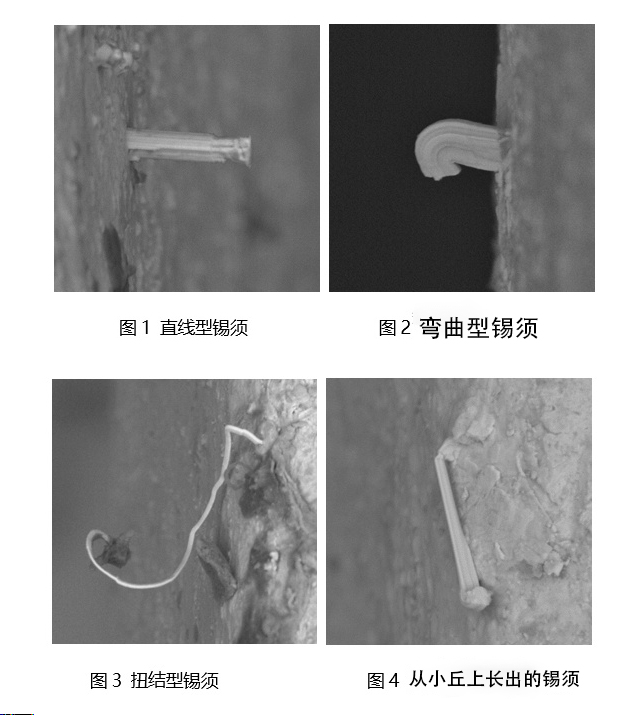 焊锡膏